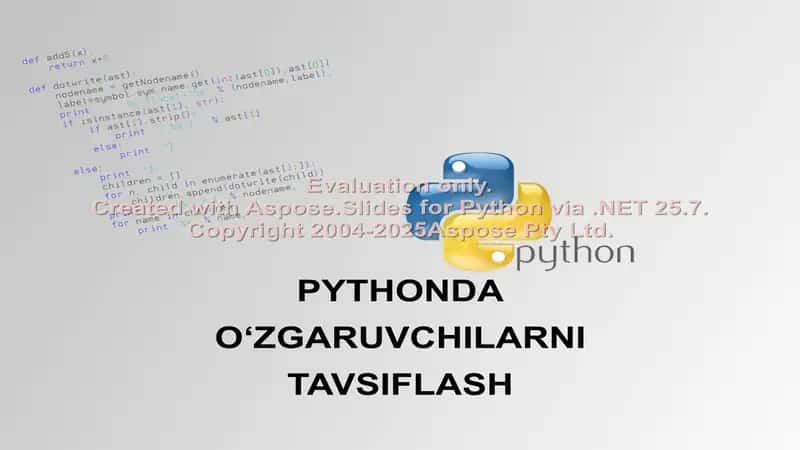 Pythonda O‘zgaruvchilarni Tavsiflash 1