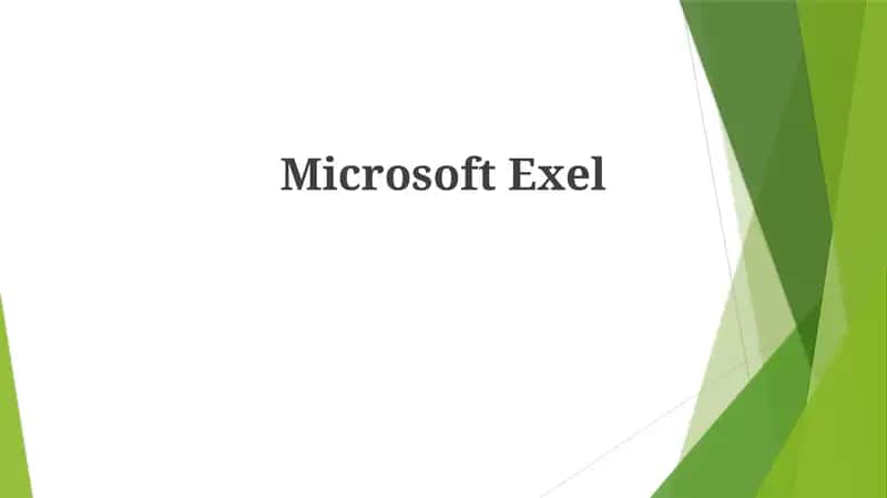 MicrosoftExel 1