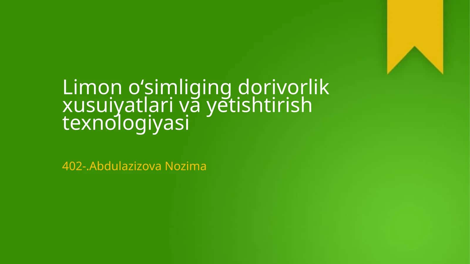 Limon oʻsimliging dorivorlik xusuiyatlari va yetishtirish texnologiyasi 1