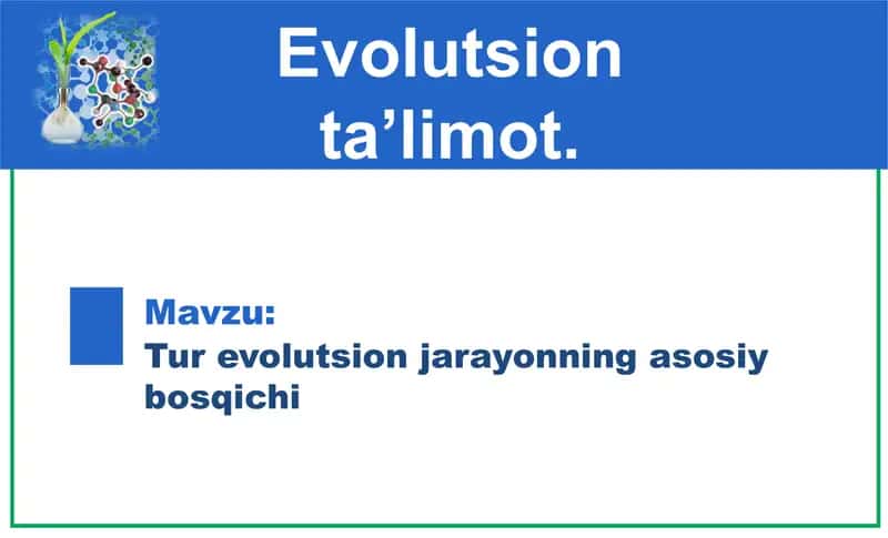 Tur evolyutsion jarayonning asosiy bosqichi 1