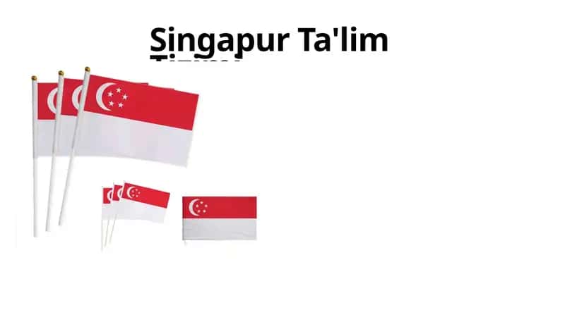 Singapur Ta'lim Tizimi 1