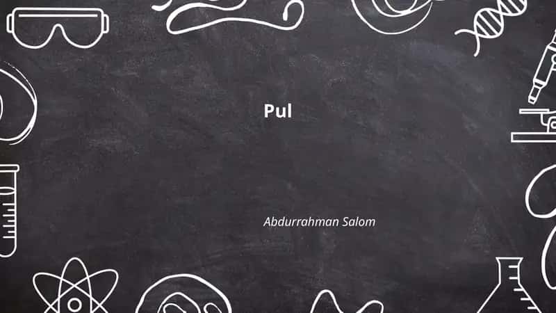 Pul 1