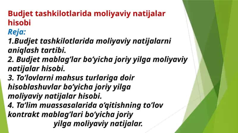 Budjet tashkilotlarida moliyaviy natijalar hisobi 1