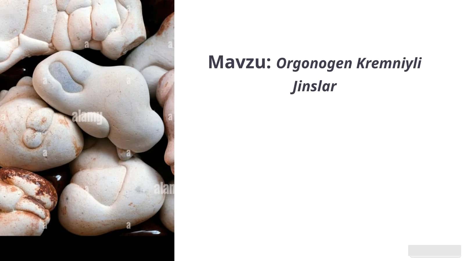 Orgonogen Kremniyli Jinslar 1