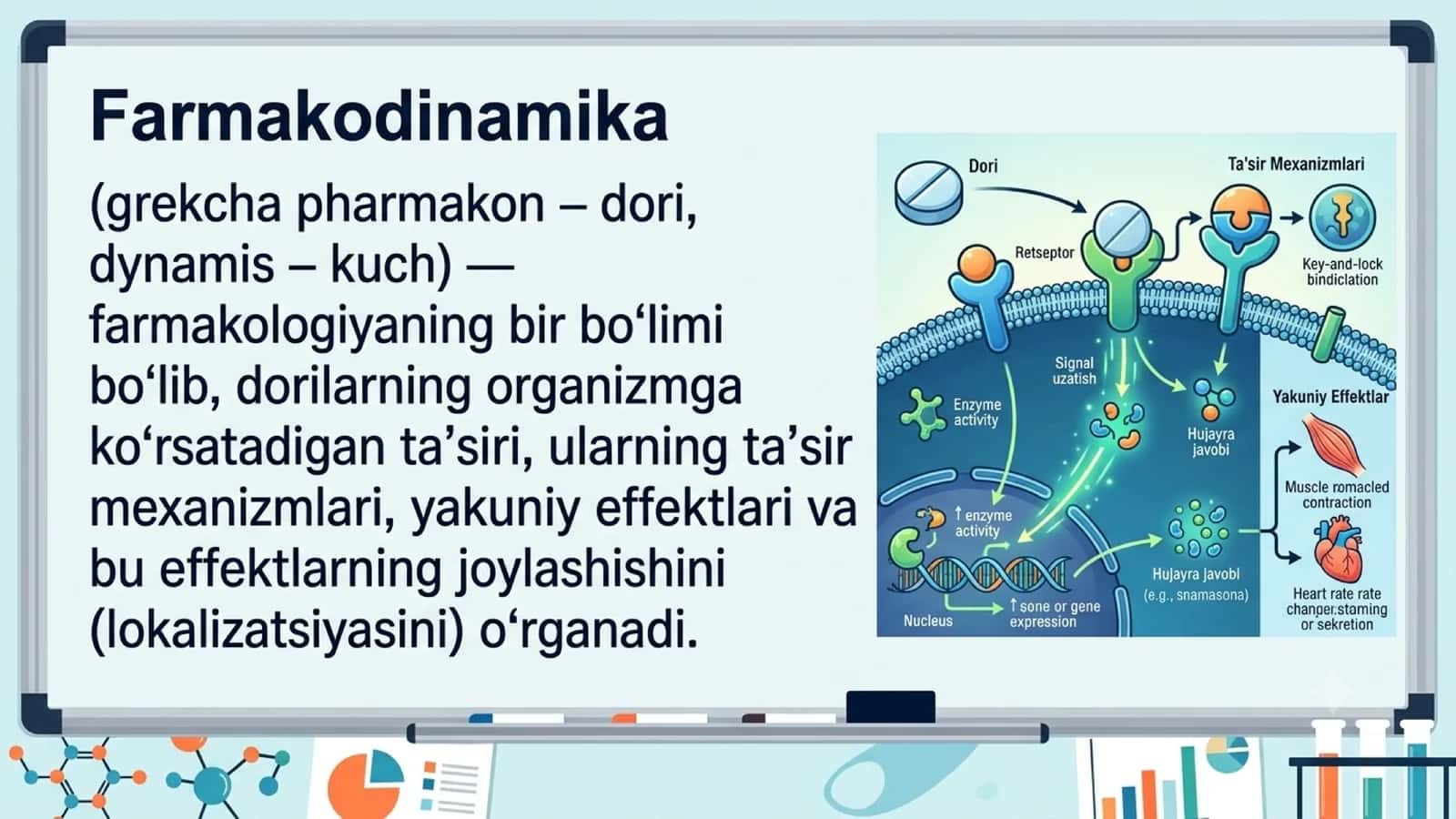 Farmakodinamika. Retseptorlar. 1