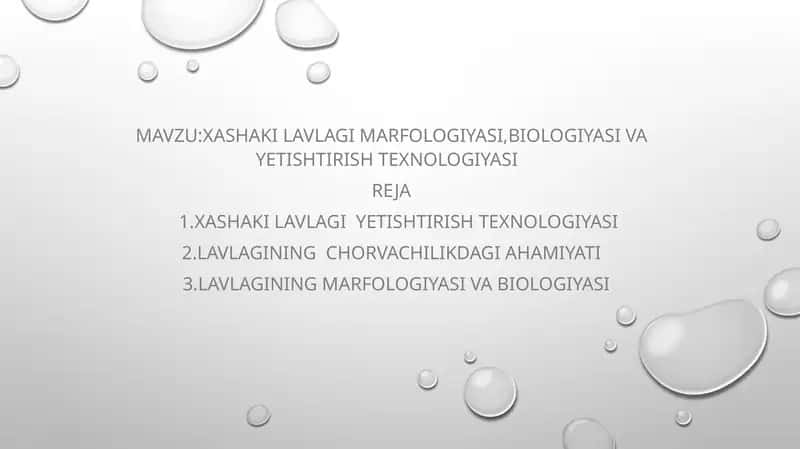 Xashaki lavlagi marfologiyasi, biologiyasi va yetishtirish texnologiyasi 1