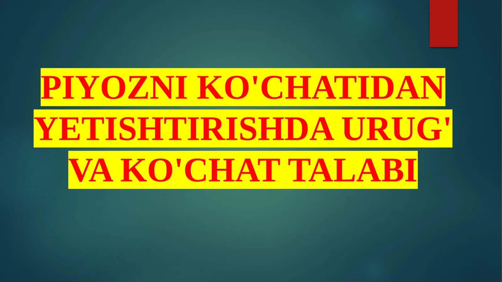 Piyozni Ko'chatidan Yetishtirishda Urug' va Ko'chat Talabi 1