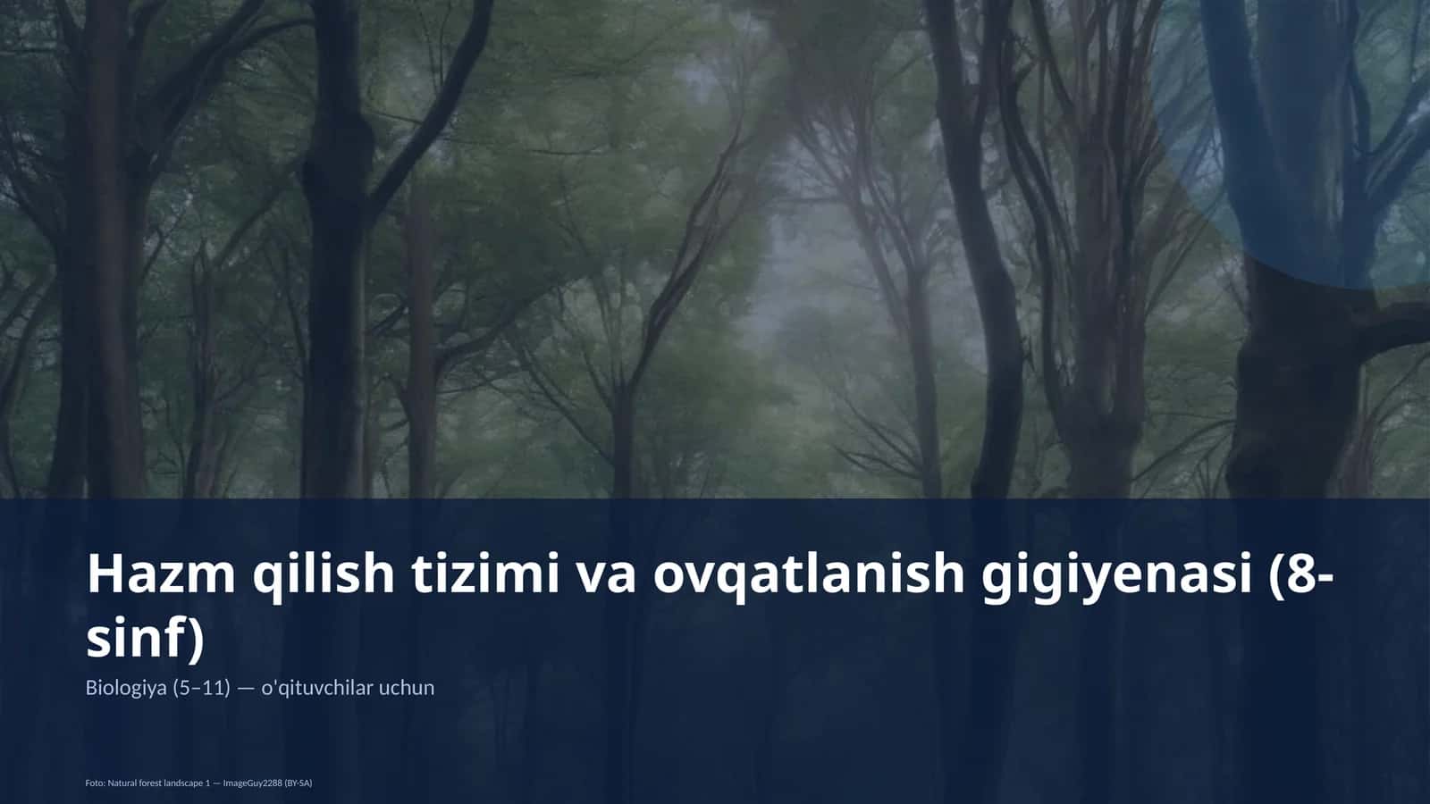 Hazm qilish tizimi va ovqatlanish gigiyenasi (8-sinf) 1