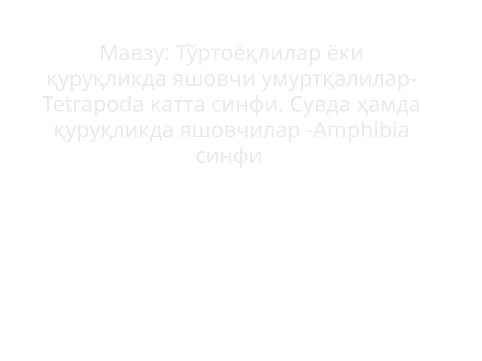 Тўртоёқлилар ёки қуруқликда яшовчи умуртқалилар-Tetrapoda катта синфи 1