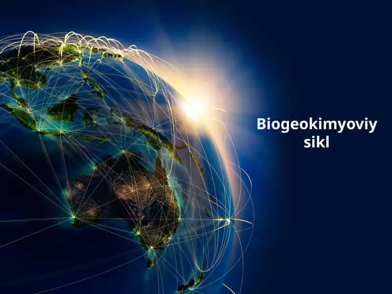 Biogeo kimyoviy sikl 1
