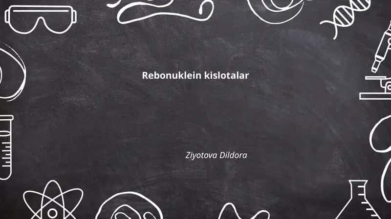 Rebonuklein kislotalar 1