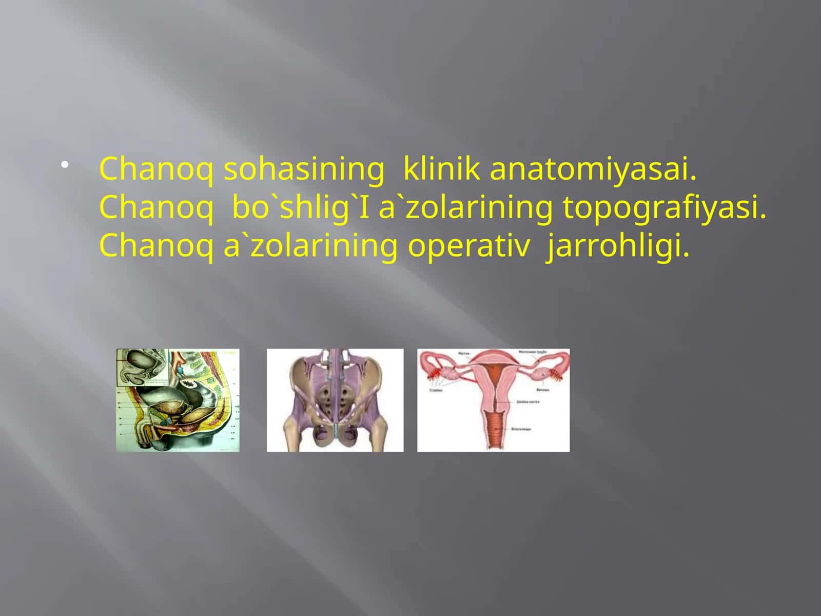 Chanoqsohasining klinika anatomiyasi 1