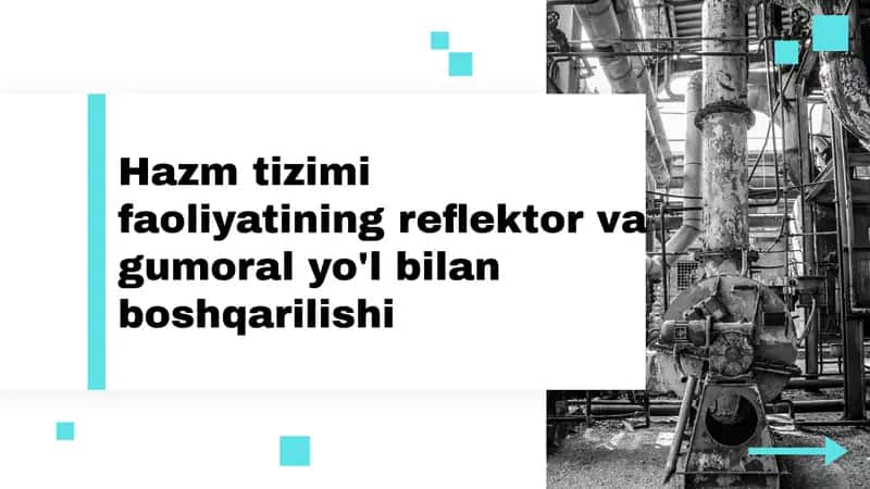 Hazmtizimifaoliyatiningreflektorvagumoralyo'lbilanboshqarilishi 1