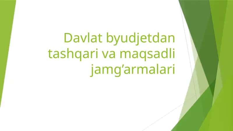 Davlat byudjetdan tashqarivamaqsadli jamg'armalari 1