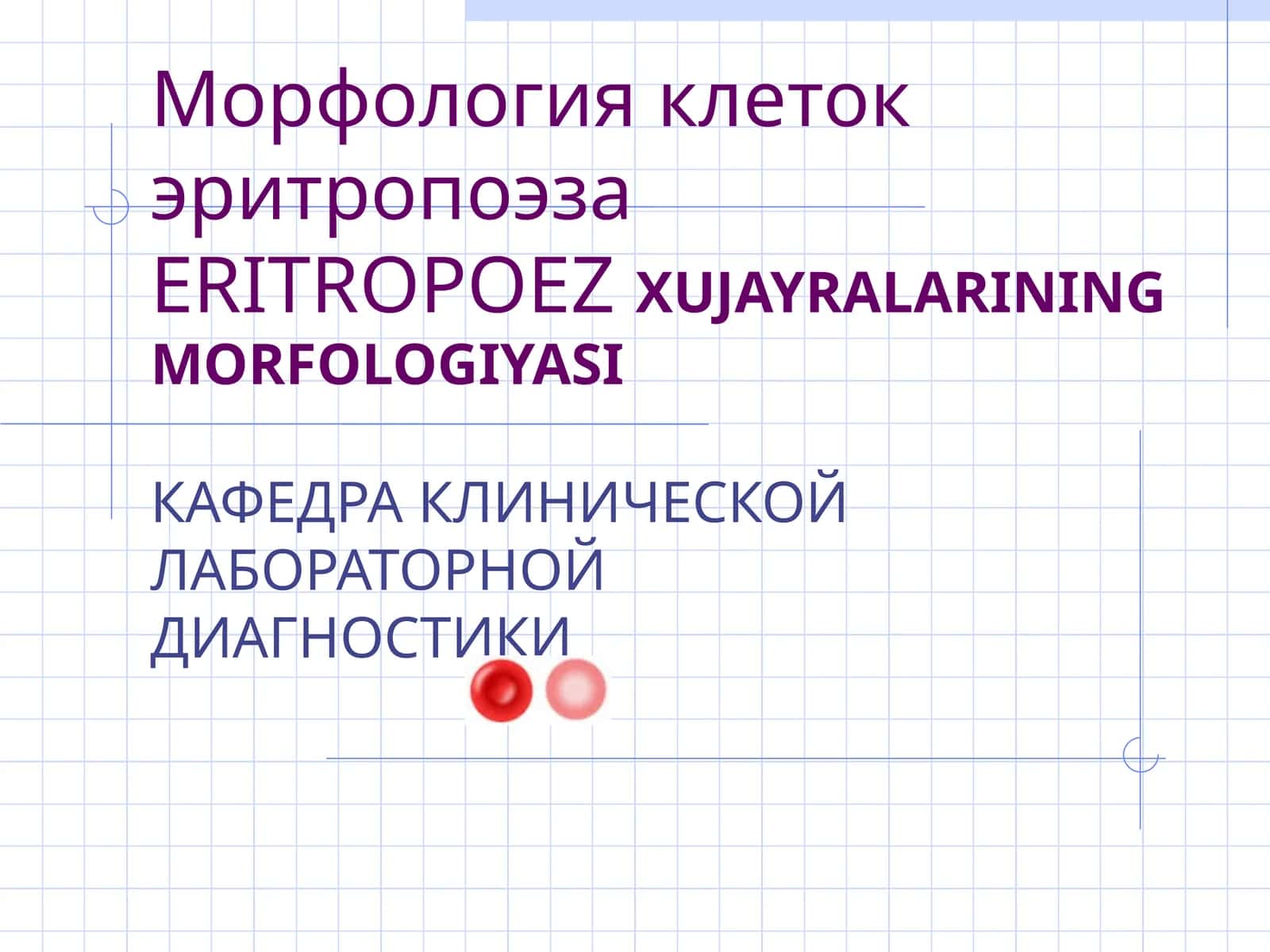 ERITROPOEZ XUJAYRALARINING MORFOLOGIYASI 1