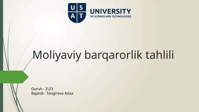 Moliyaviybarqarorliktahlili 1