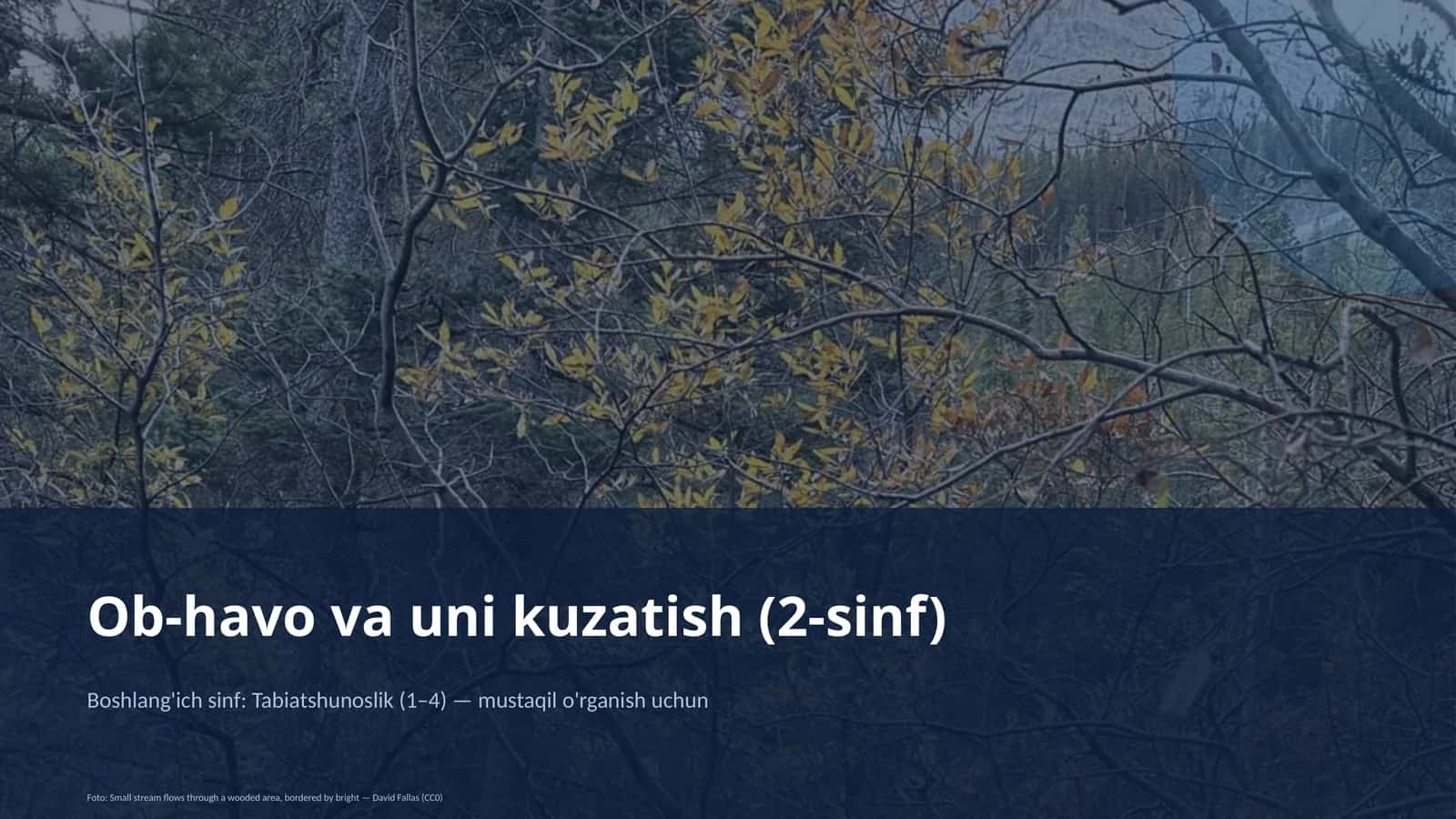 Ob-havo va uni kuzatish (2-sinf) 1
