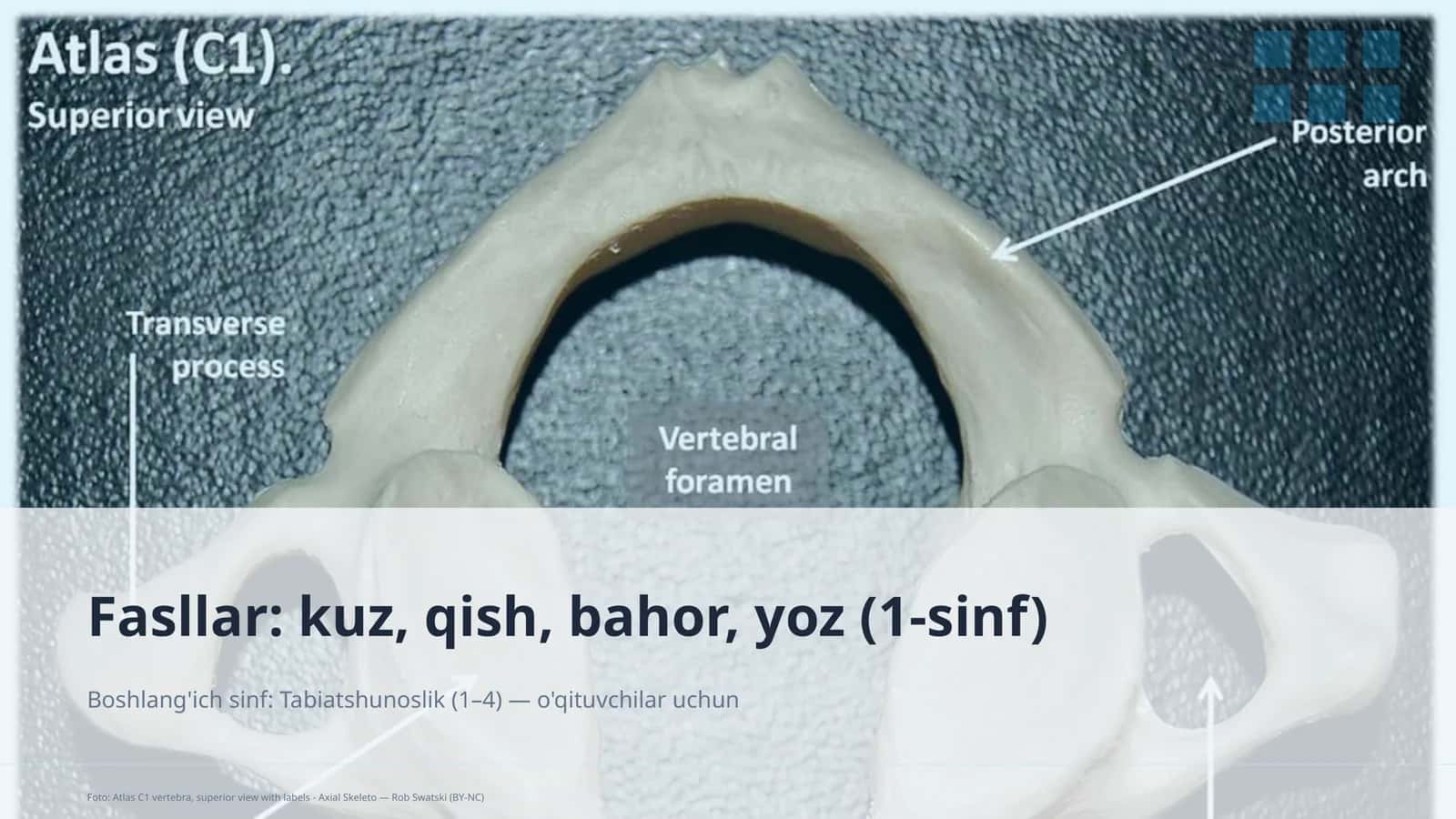 Tabiatshunoslik dars rejasi 1