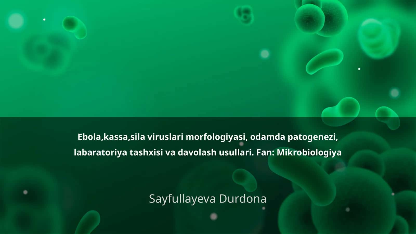 Ebola, Kassa, Sila viruslarining morfologiyasi va odamda patogenezi 1