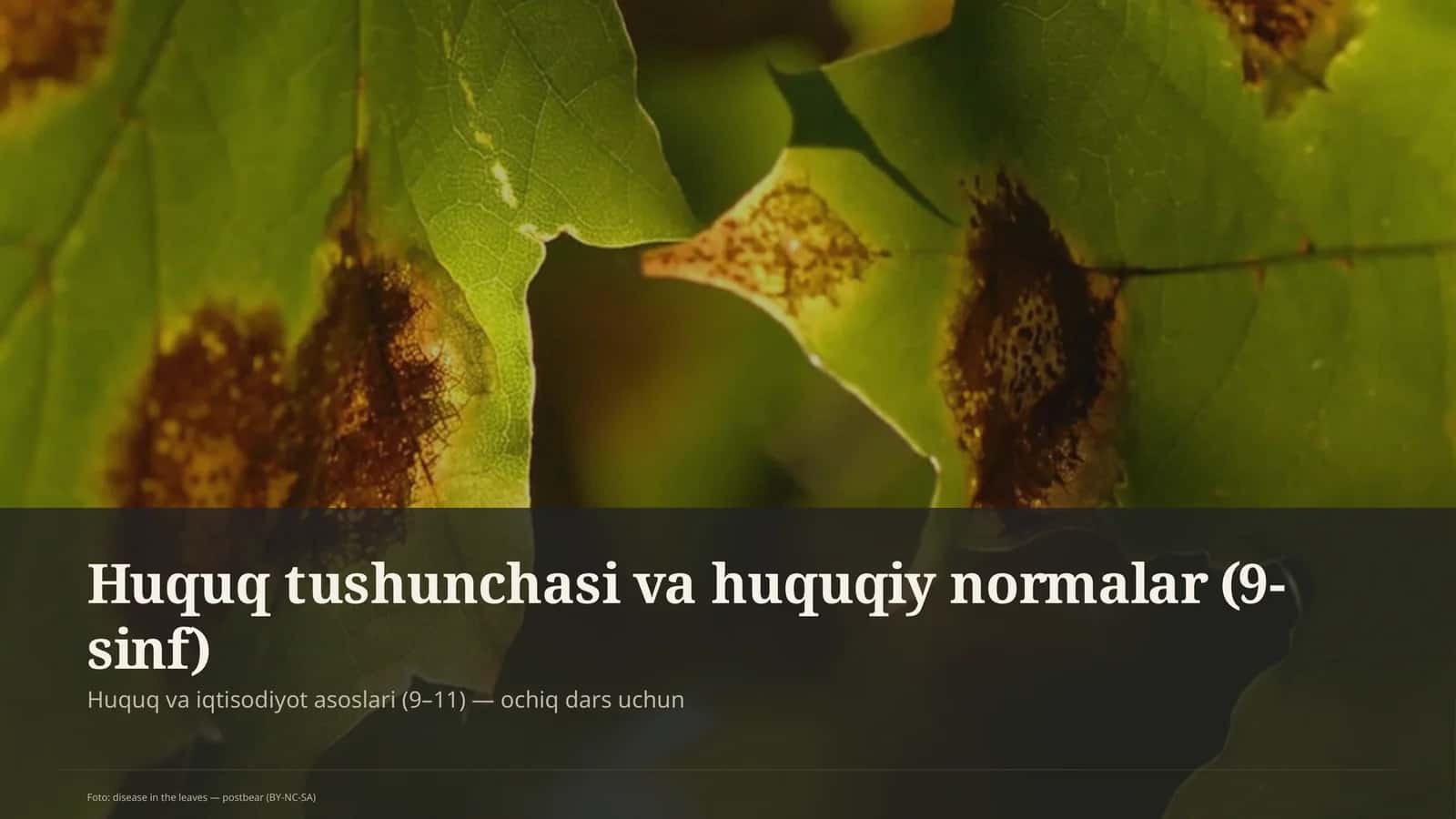 Huquq tushunchasi va huquqiy normalar (9-sinf) 1