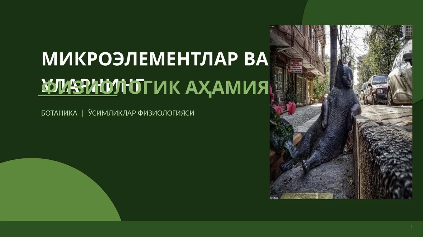 МИКРОЭЛЕМЕНТЛАР ВА УЛАРНИНГ ФИЗИОЛОГИК АҲАМИЯТИ 1