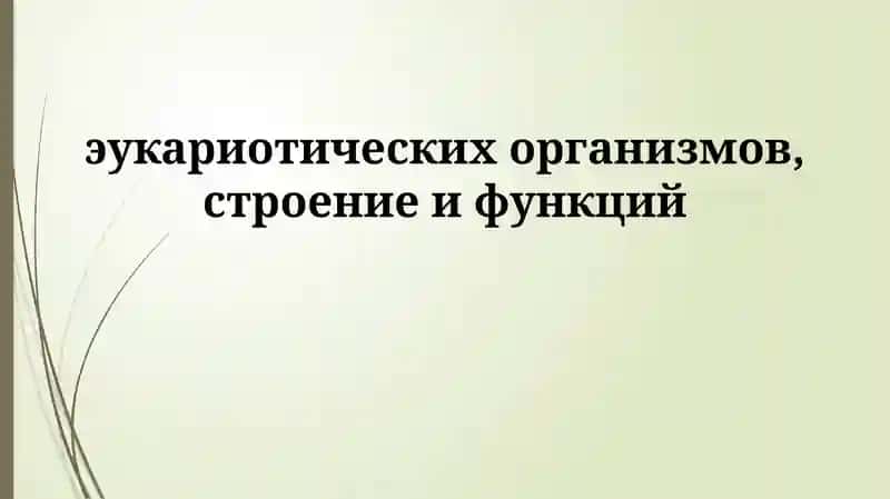 Эукариотлар 1
