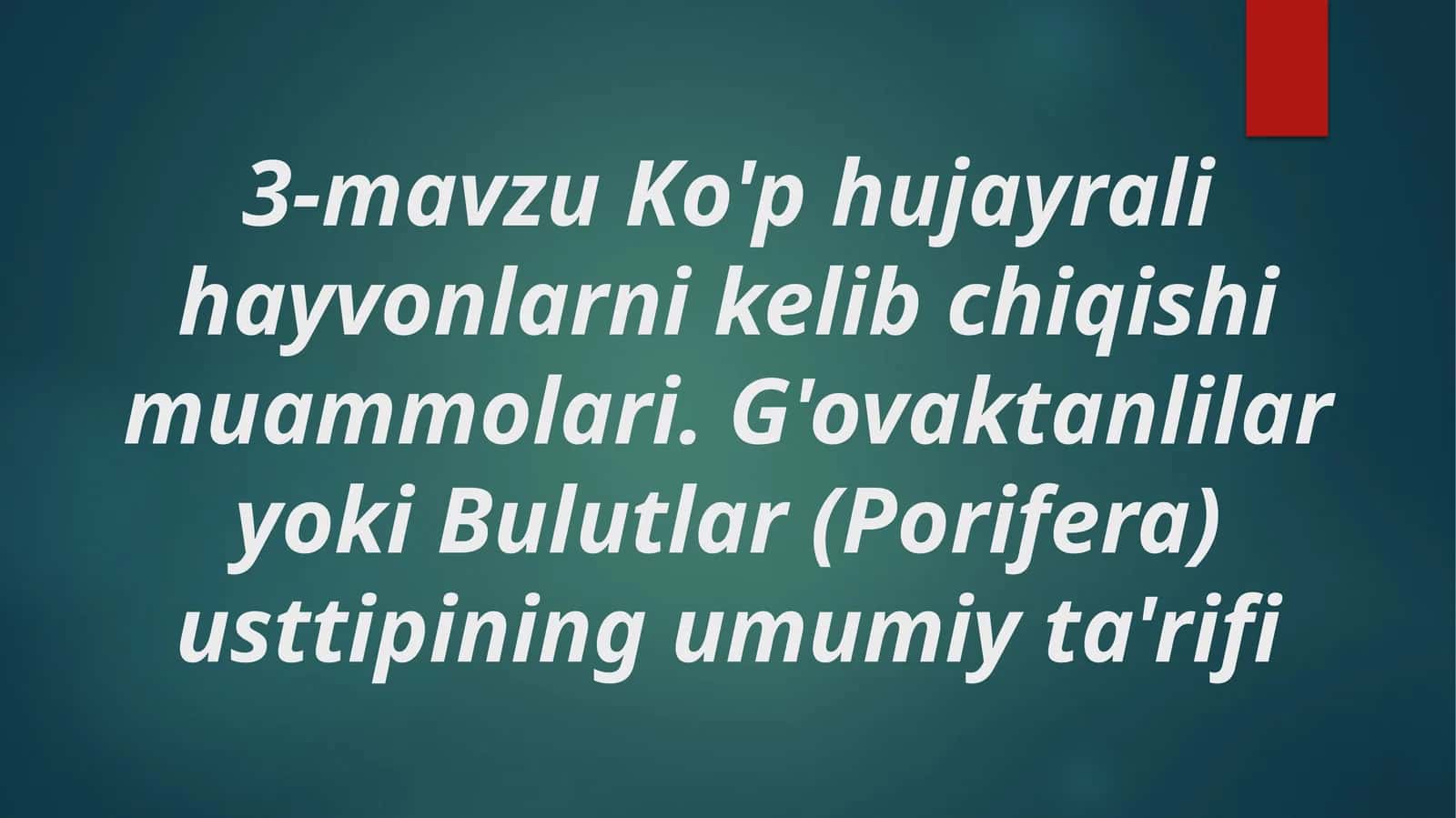 Ko'p hujayrali hayvonlarni kelib chiqishi muammolari. G'ovaktanlilar yoki Bulutlar (Porifera) usttipining umumiy ta'rifi 1