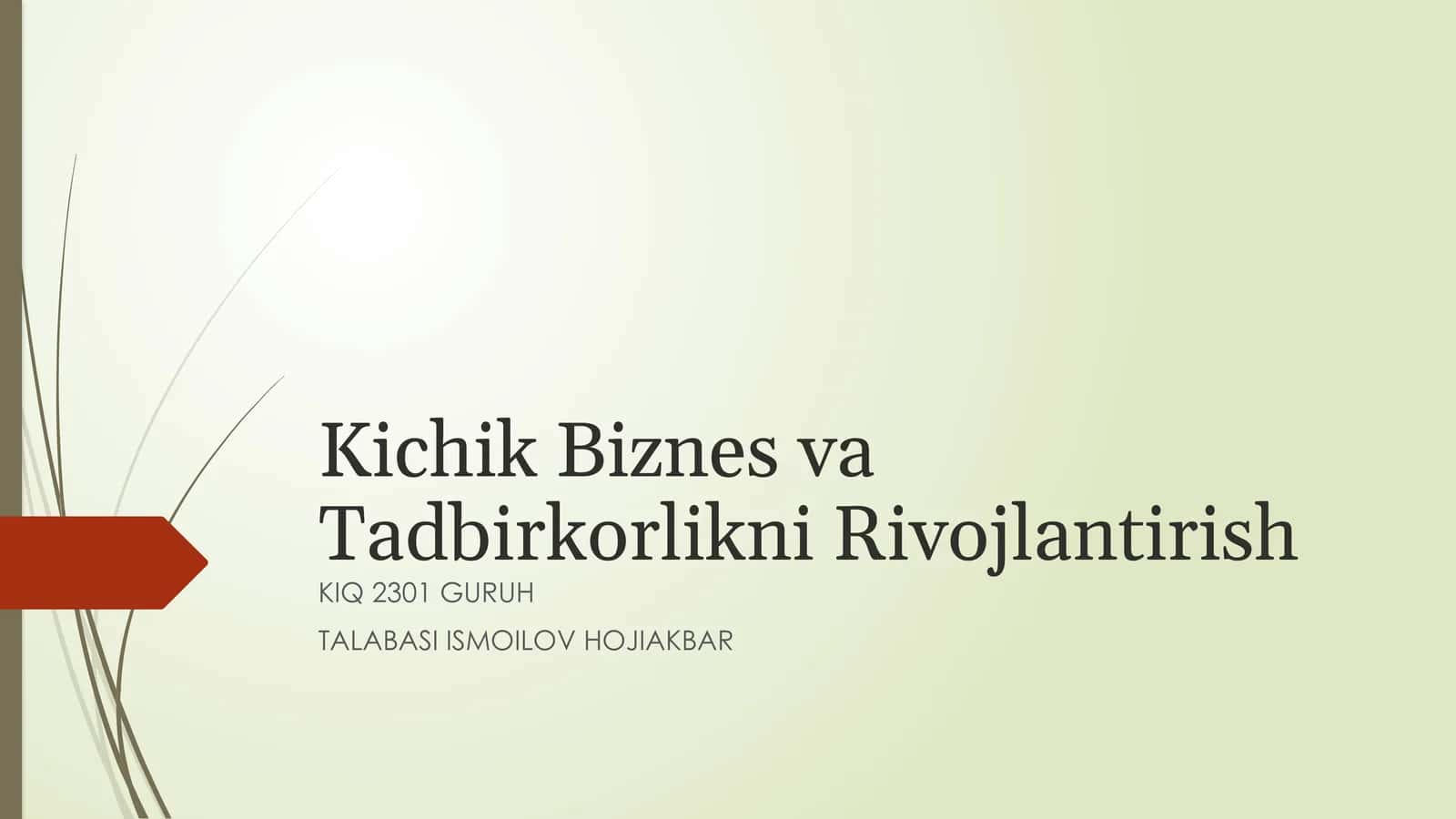 Kichik Biznes va Tadbirkorlikni Rivojlantirish: Oʻzbekiston Misolida 1