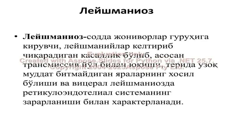 Лейшманиоз 1