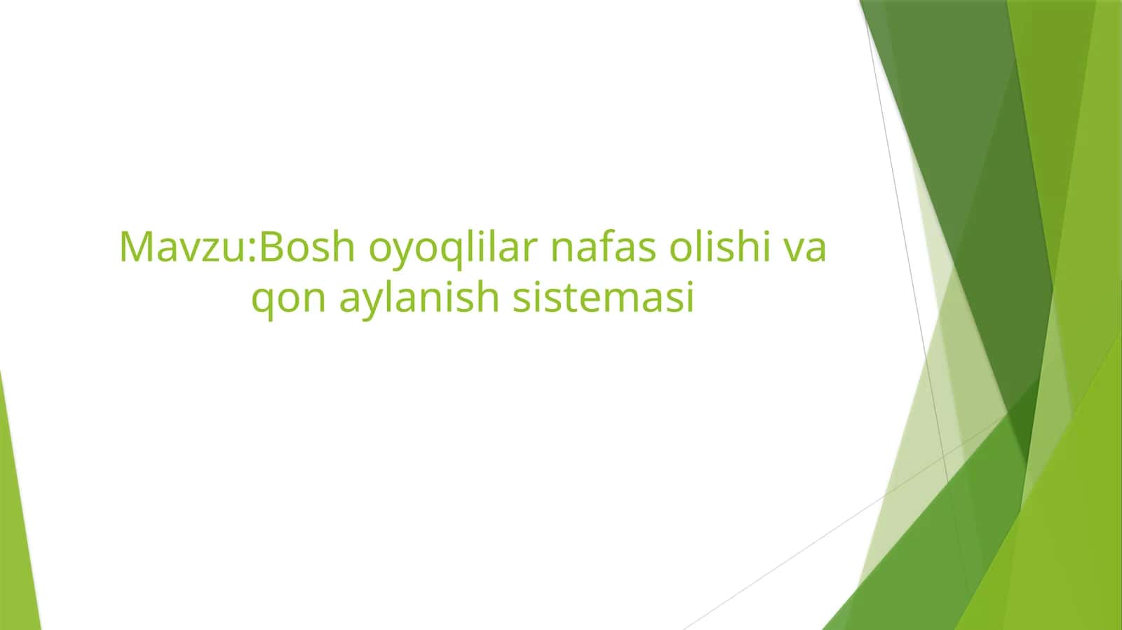 Bosh oyoqlilar nafas olishi va qon aylanish sistemasi 1