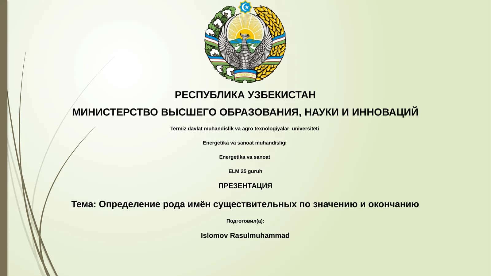 Определение рода имён существительных по значению и окончанию 1