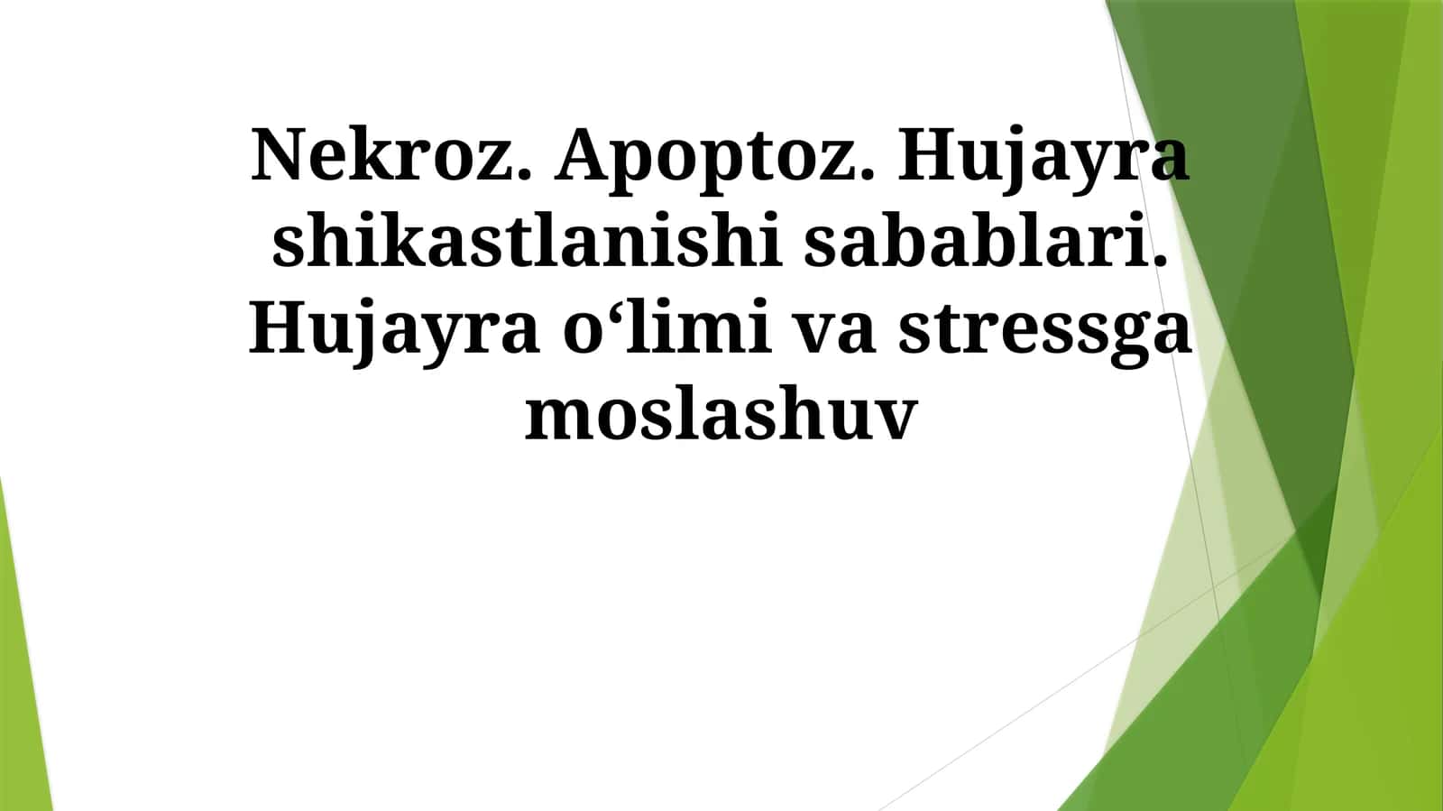 Nekroz 1