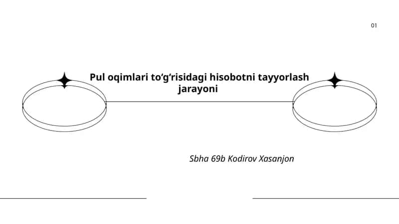 Pul oqimlari hisoboti 1