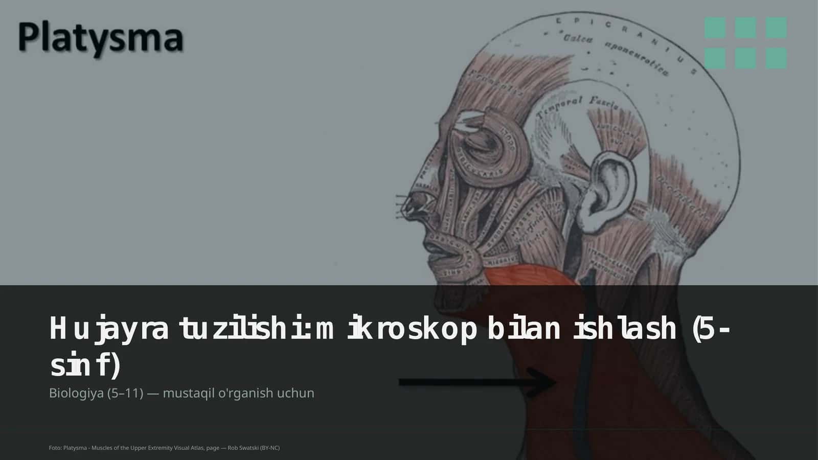 Hujayra tuzilishi: mikroskop bilan ishlash (5-sinf) 1