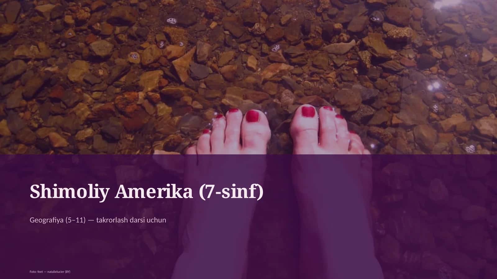 Shimoliy Amerika (7-sinf) 1
