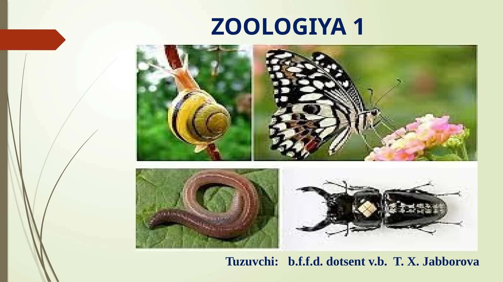 ZOOLOGIYA 1 1