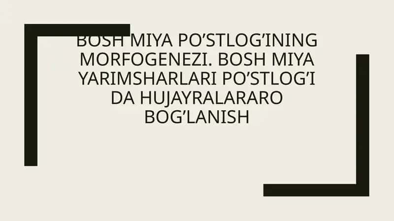 Bosh miya postlogi morfogenezi 1