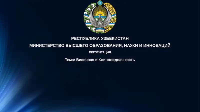 Презентация Височная и Клиновидная кость 1