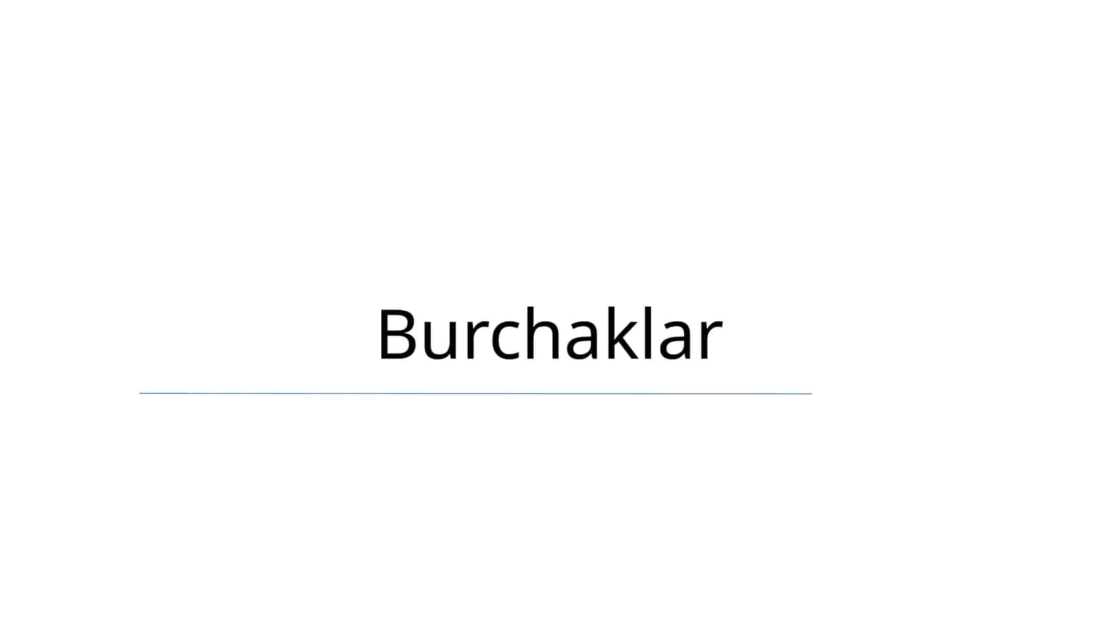 Burchaklar 1