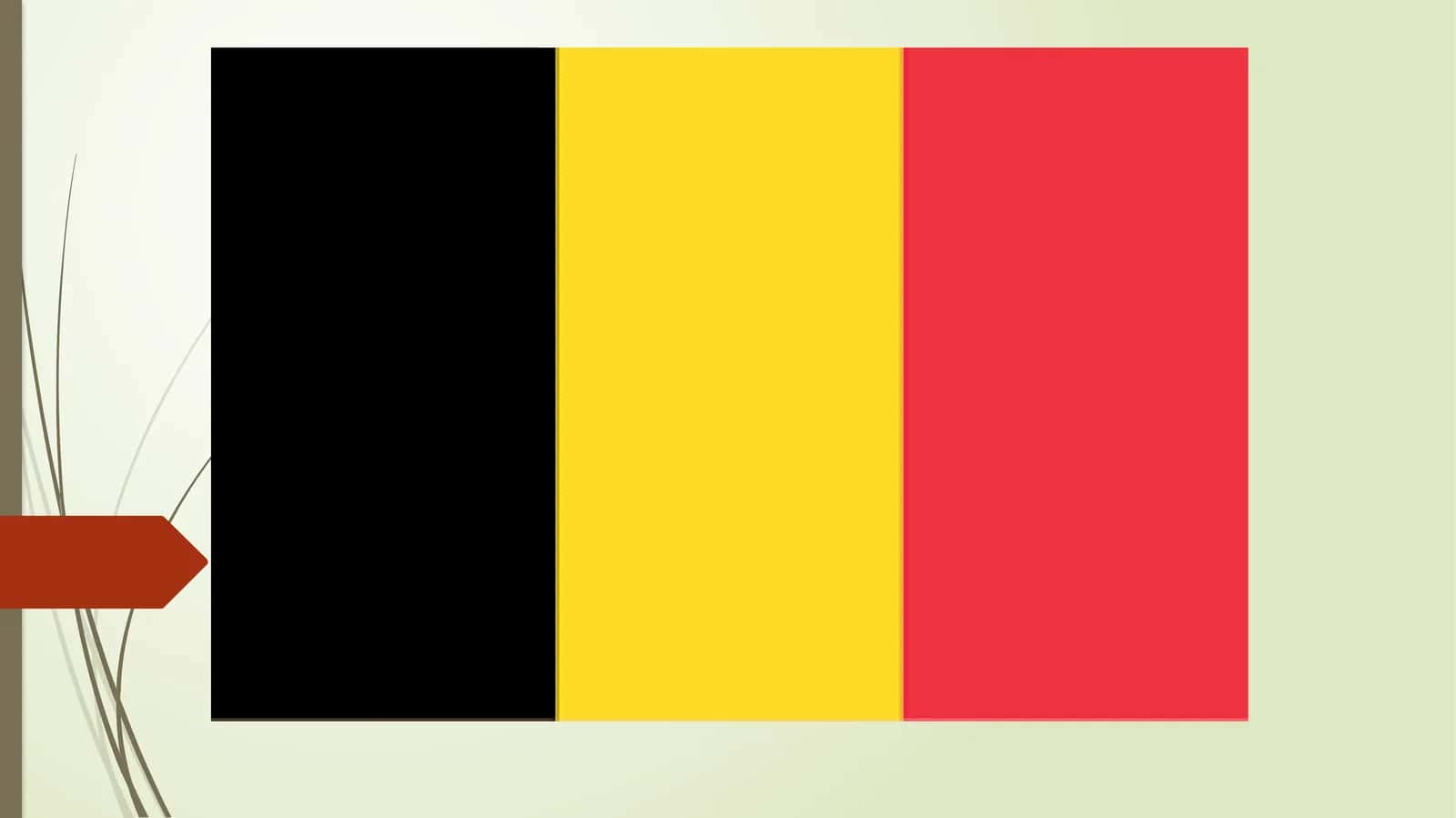 BelgiyavaShvetsiyadavlatlarita’limtizimigakomparativistiktahlil 1