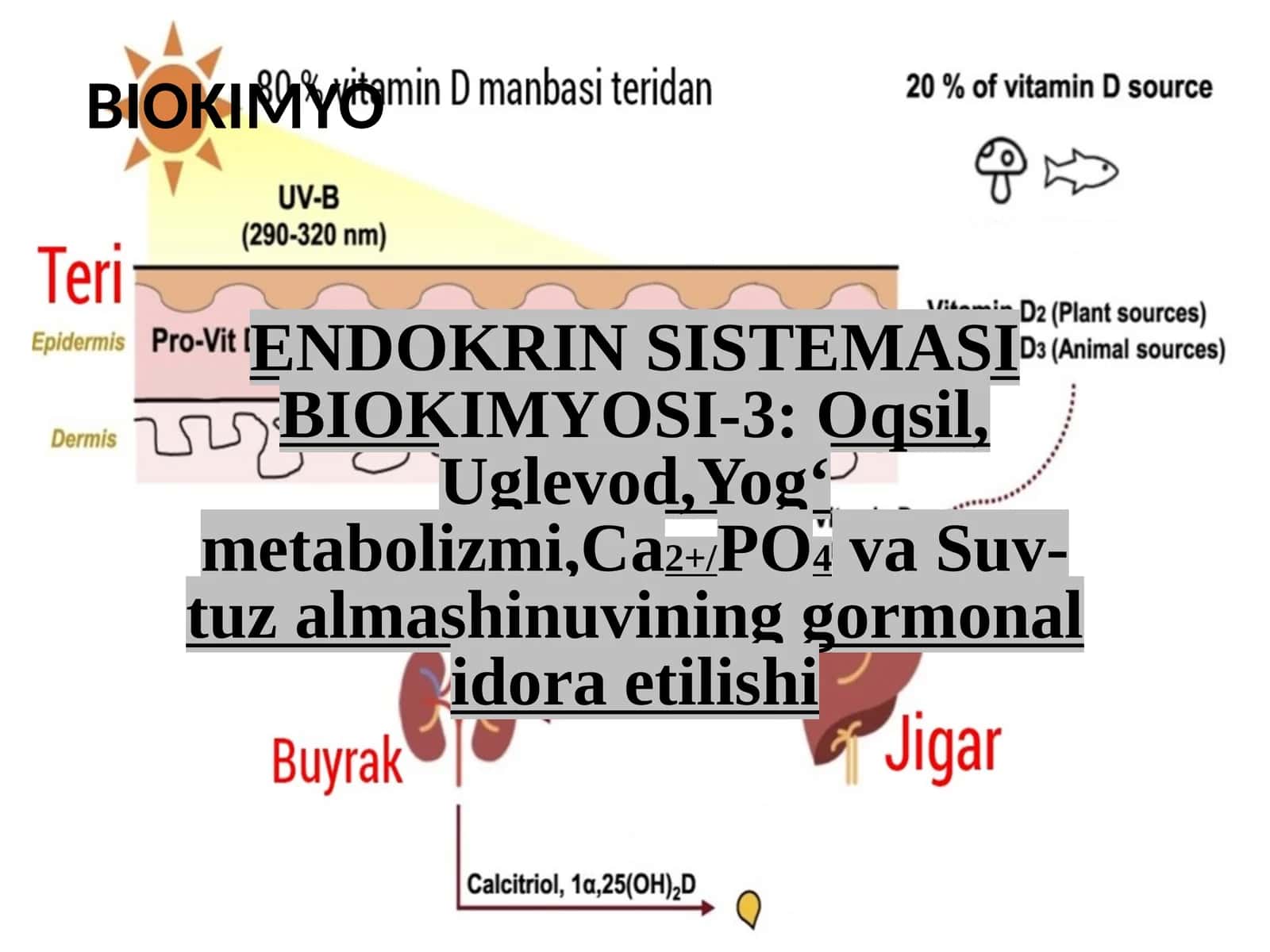 ENDOKRIN SISTEMASI BIOKIMYOSI-3:Oqsil,Uglevod,Yogʻmetabolizmi,Ca2+/PO4vaSuv-tuzalmashinuvininggormonalidoraetilishi 1