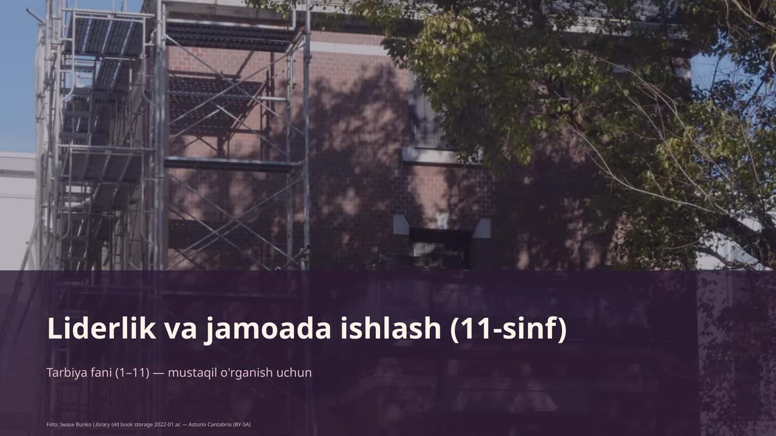 Liderlik va jamoada ishlash (11-sinf) 1