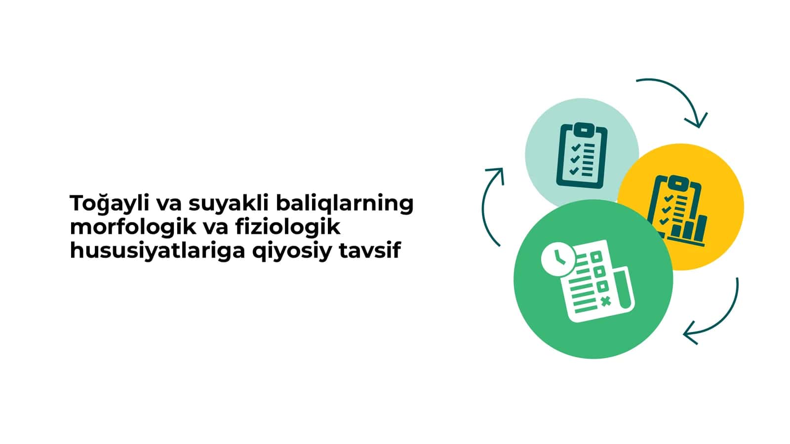 Toğayli va suyakli baliqlarning morfologik va fiziologik hususiyatlariga qiyosiy tavsif 1