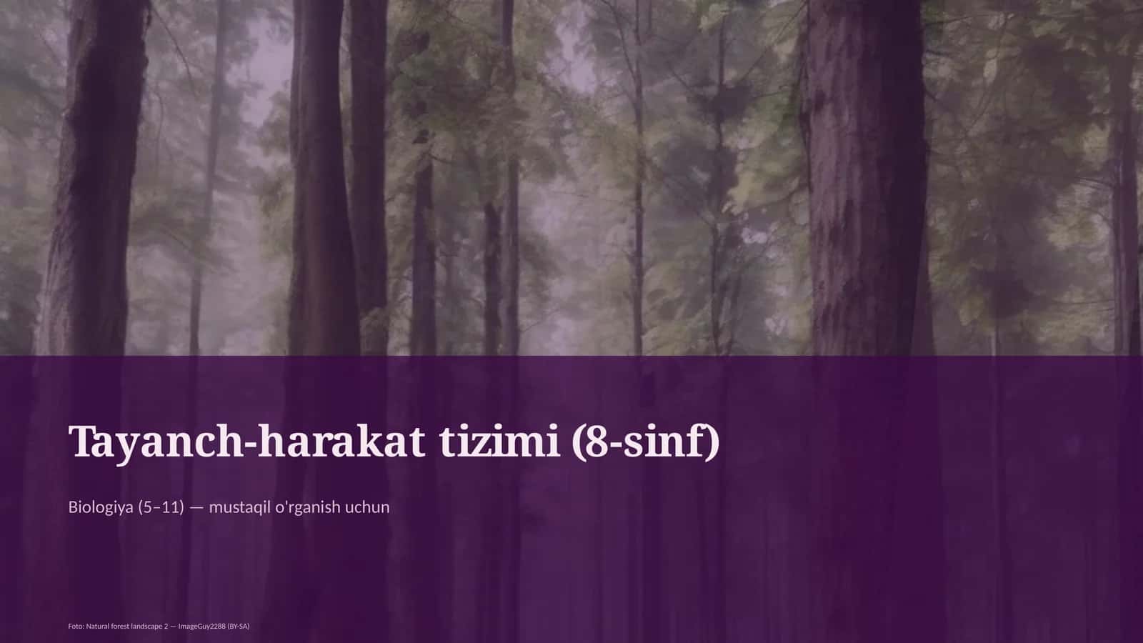 Tayanch-harakat tizimi (8-sinf) 1
