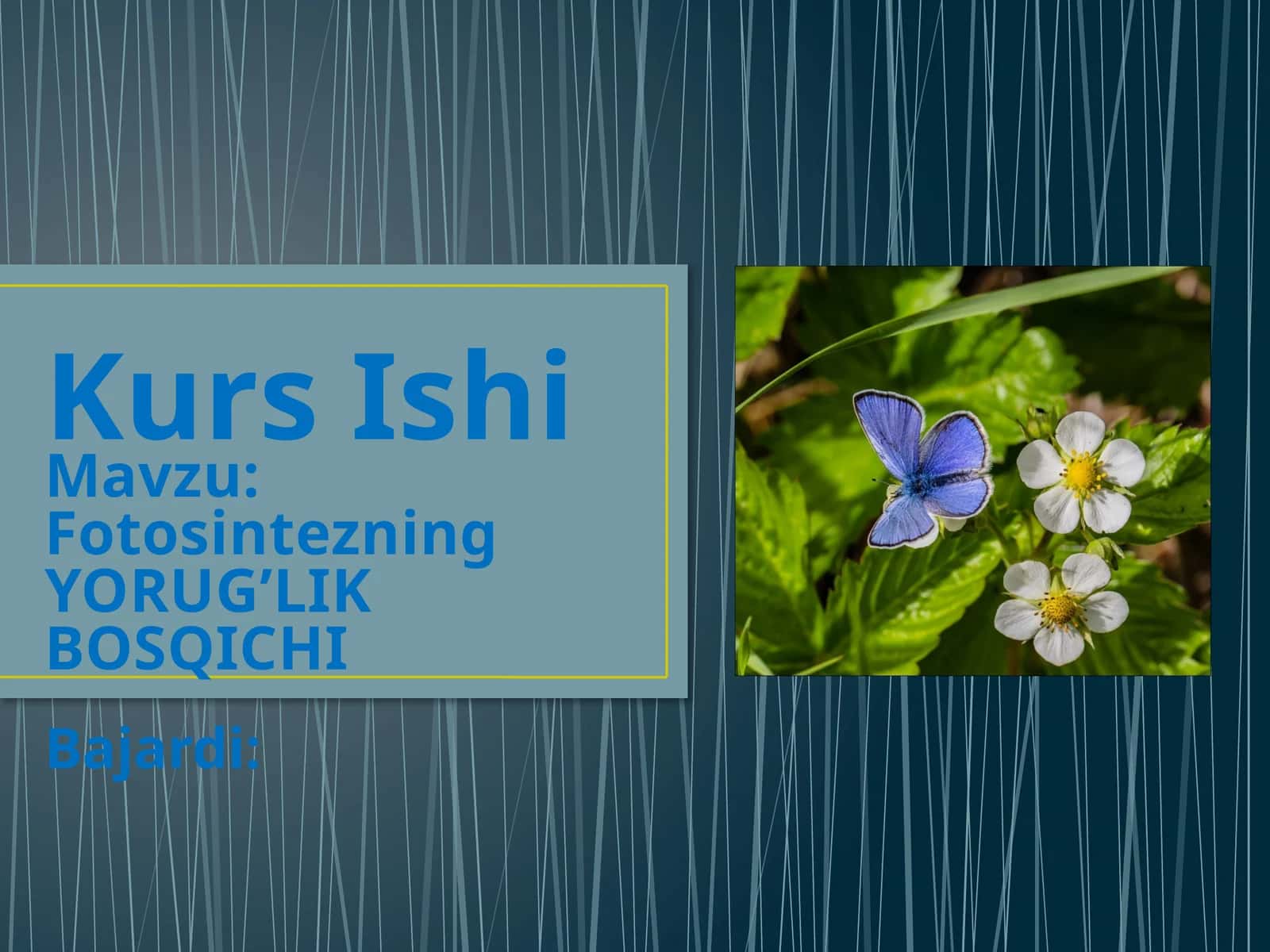 Fotosintezning YORUG’LIK BOSQICHI 1