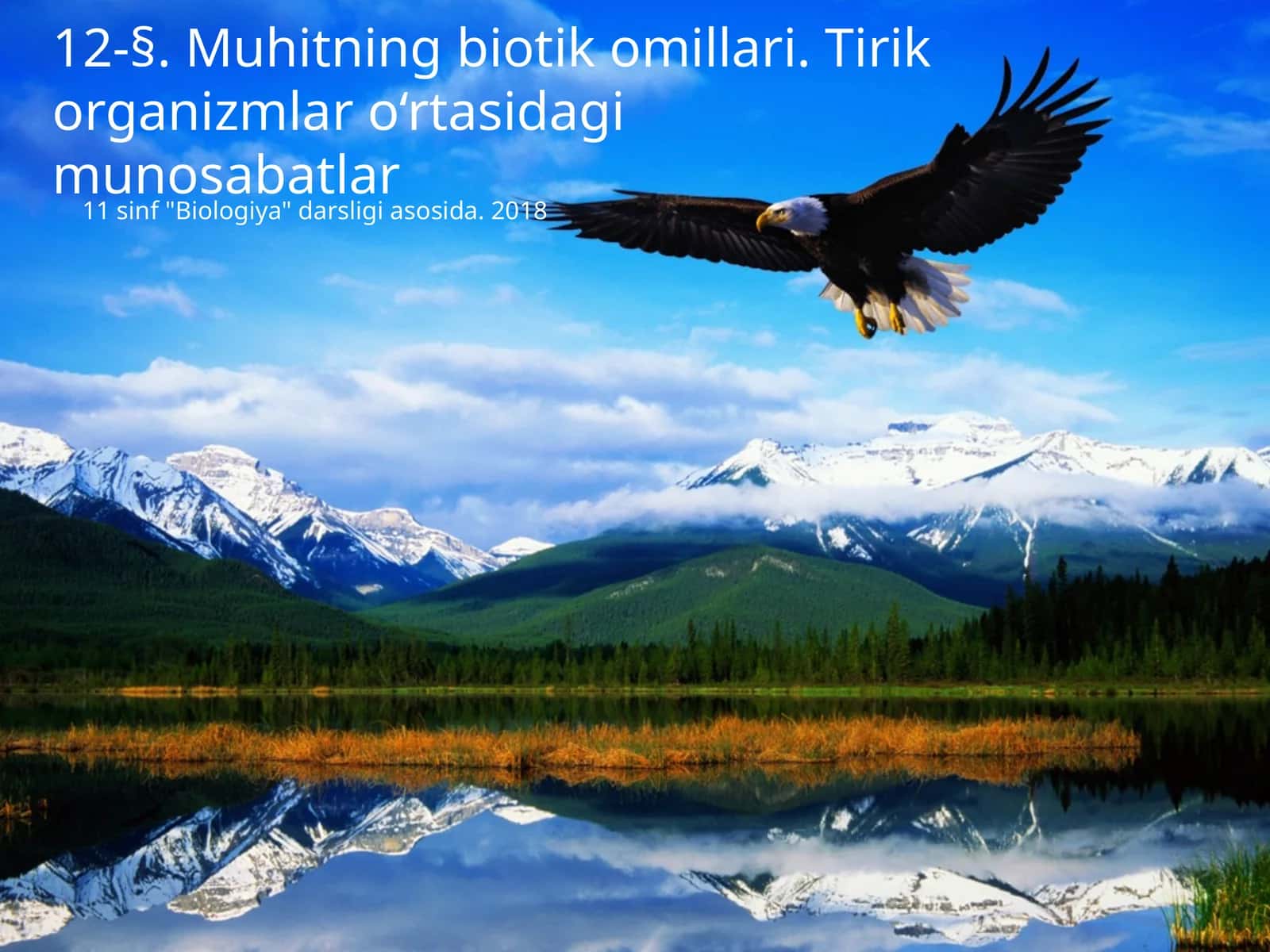 Muhitning biotik omillari 1