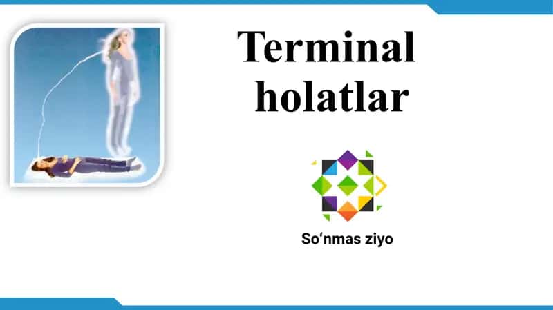 Terminal holatlar 1