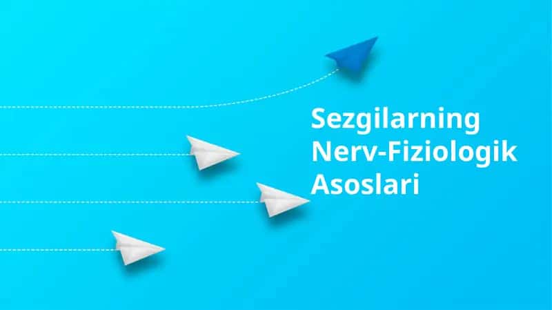 Sezgilarning Nerv-Fiziologik Asoslari 1