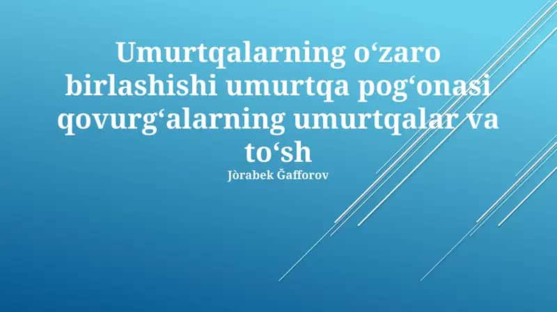 Umurtqalarning oʻzaro birlashishi umurtqa pogʻonasi qovurgʻalarning umurtqalar va toʻsh 1