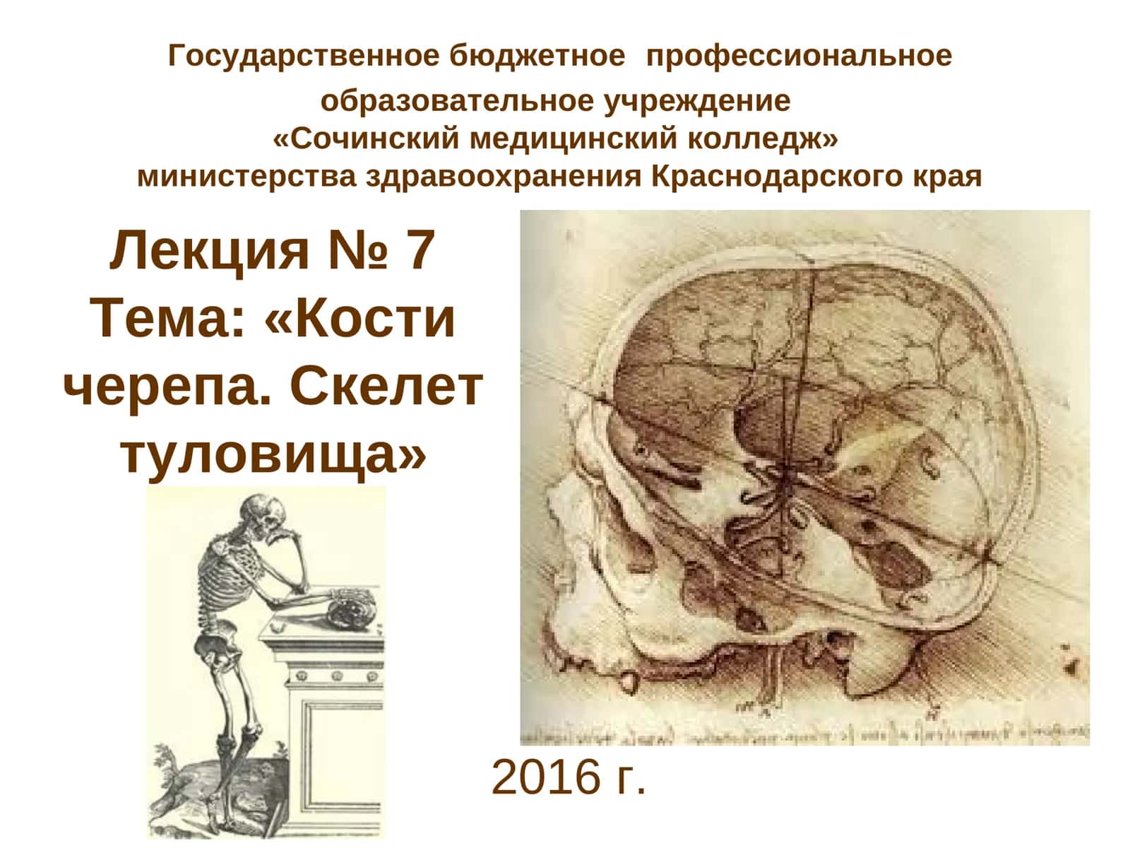 Лекция № 7Тема: «Кости черепа. Скелет туловища» 1